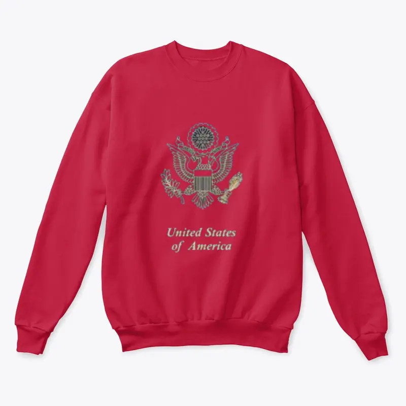 UNITES STATES OF AMERICCA SWEATSHIRT 