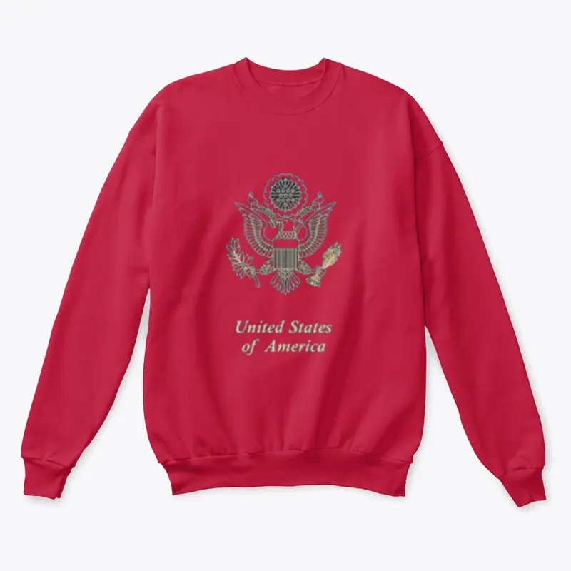 UNITES STATES OF AMERICCA SWEATSHIRT 